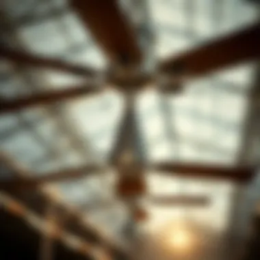 Magnificent Agricultural Ceiling Fans: Enhancing Efficiency in Farming Magnificent Agricultural Ceiling Fans: Enhancing Efficiency in Farming