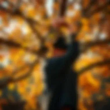 Magnificent Understanding the Maple Tree: An Essential Component for Maple Syrup Production