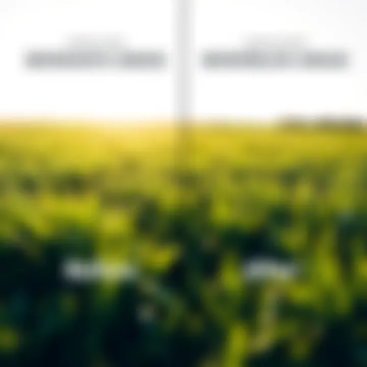 Before and after comparison of Bermuda grass restoration