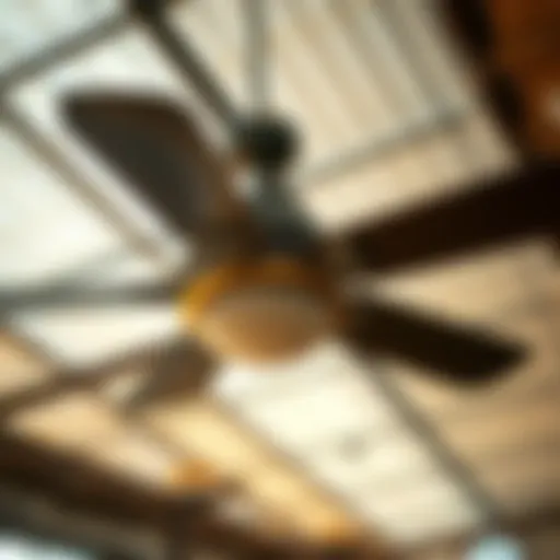 Agricultural Ceiling Fans: Enhancing Efficiency in Farming Introduction
