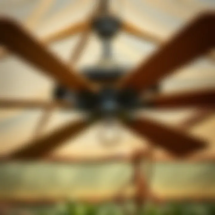 Notable Agricultural Ceiling Fans: Enhancing Efficiency in Farming