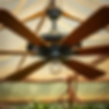 Notable Agricultural Ceiling Fans: Enhancing Efficiency in Farming Notable Agricultural Ceiling Fans: Enhancing Efficiency in Farming
