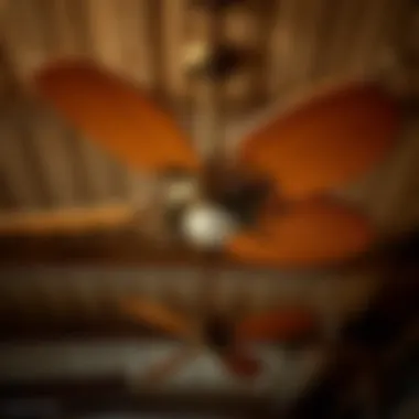 Agricultural Ceiling Fans: Enhancing Efficiency in Farming Summary Agricultural Ceiling Fans: Enhancing Efficiency in Farming Summary