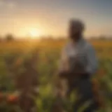 A vibrant field showcasing diverse crops flourishing under the sun, symbolizing agricultural diversity in Africa.