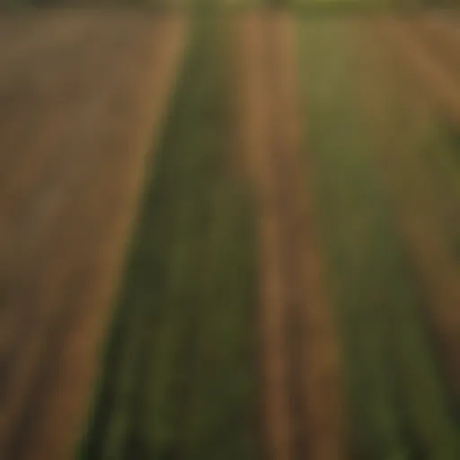 Aerial view of diverse agricultural fields showcasing crop diversity.