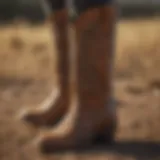 Ariat Cheetah boots showcased in a field setting