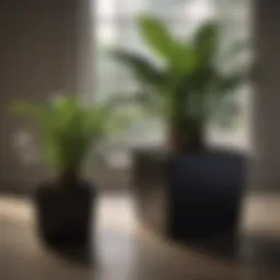 Elegant black square plant pot surrounded by greenery