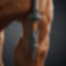 Close-up of cattle ear notching tool