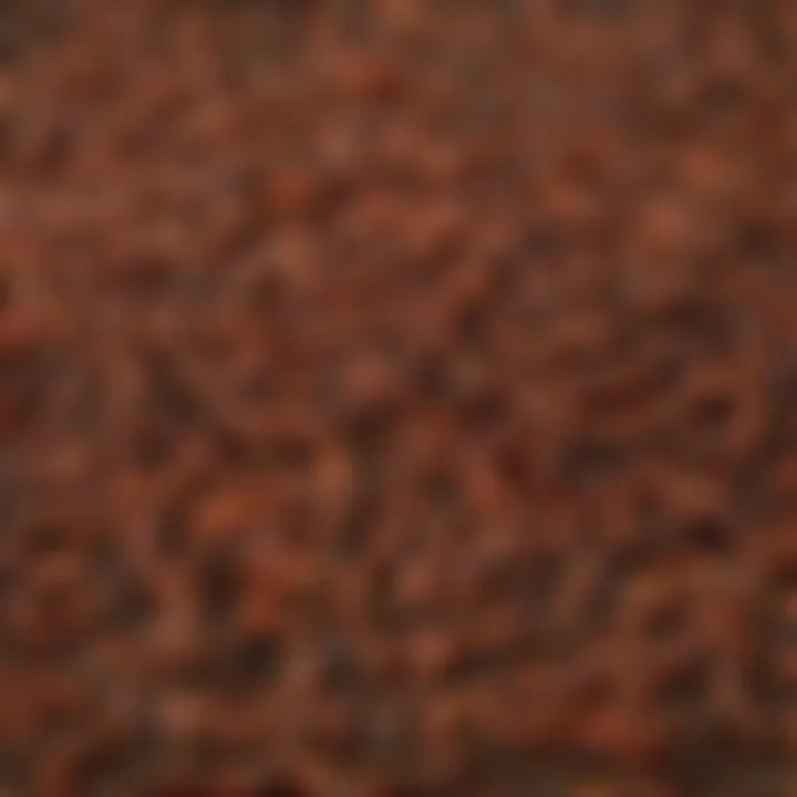 Close-up of centipede fertilizer granules showcasing texture and composition