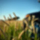 Choosing the Right Grass Seed for Hot Weather Conditions Introduction