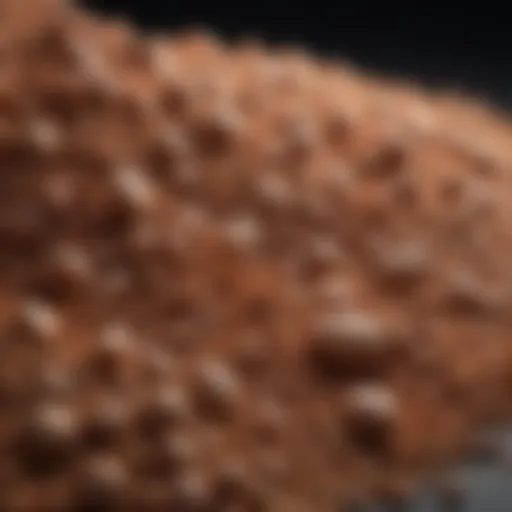 A close-up view of clay granules suitable for hydroponics