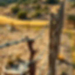 Detailed view of creosote fencing in a rural landscape