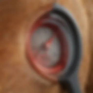 Close-up of a high-quality rectal thermometer designed for large animals.