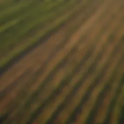 Aerial view of Oklahoma farmland showcasing diverse crop patterns