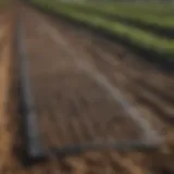 Rubber mats with edges in an agricultural setting