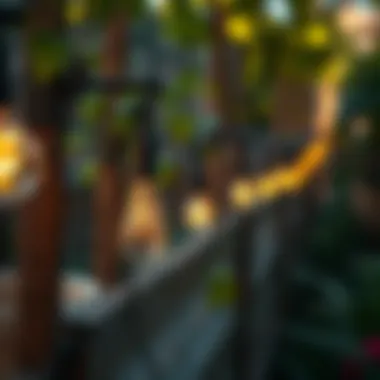 Installation Process of Garden Light Controllers Diagram illustrating the installation process of garden light controllers