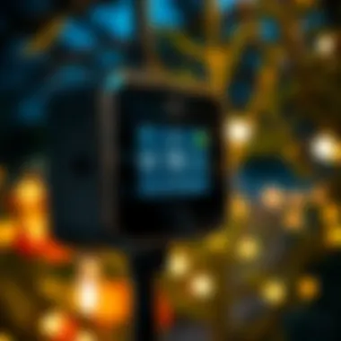 Smart Technology in Garden Lighting Close-up of a modern garden light controller with smart technology interface