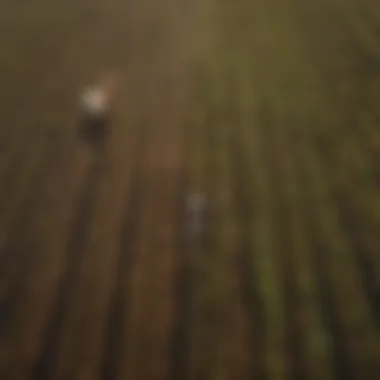 Aerial view of diverse farmland showcasing various cultivation methods.