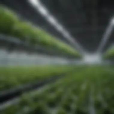 Innovative hydroponic system illustrating modern farming technology.