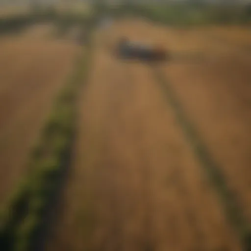 Detailed map showcasing GIS applications in agriculture