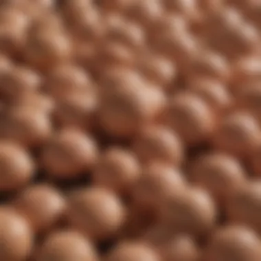 Protein-Rich Foods Essential for Development Close-up of protein-rich foods