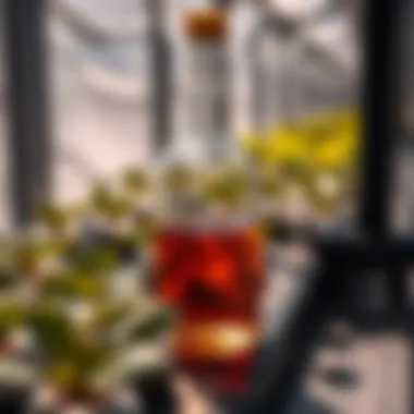 Nutrient Solution for Hydroponics Close-up of nutrient solution in hydroponic system