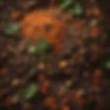 A vibrant compost pile showcasing layers of organic material