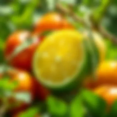 Exploring Citric Acid: A Comprehensive Guide to Fruits and Vegetables Rich in This Organic Compound Introduction