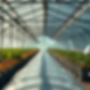 Benefits of Corrugated Plastic in Greenhouses An infographic illustrating the benefits of using corrugated plastic in greenhouses