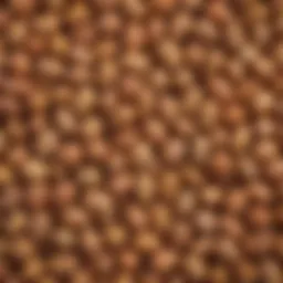 Close-up of Palouse garbanzo beans showcasing their unique texture and color
