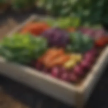 A close-up view of a fabric raised bed with thriving vegetables