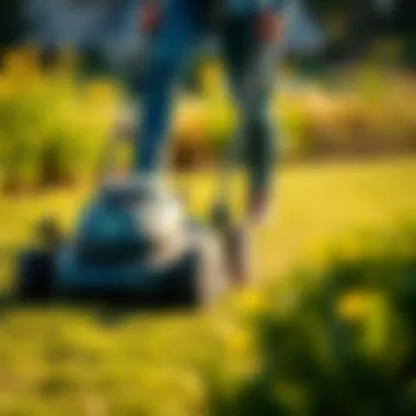 Sustainable lawn care with electric mowers in action