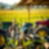 A lush farm landscape showing various maintenance tools