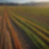 Vast agricultural fields in Utah showcasing diverse crops