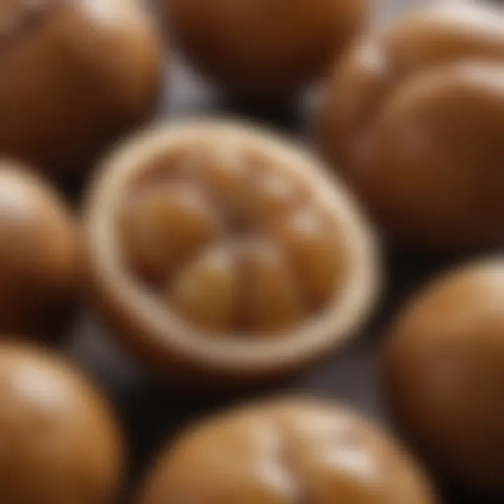 A close-up view of longan slices revealing its translucent flesh.