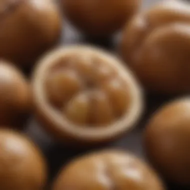 Longan Flesh and Texture A close-up view of longan slices revealing its translucent flesh.