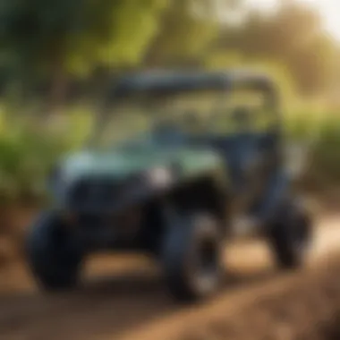 Variety of Small UTV Models for Agricultural Use Different models of small UTVs for agriculture