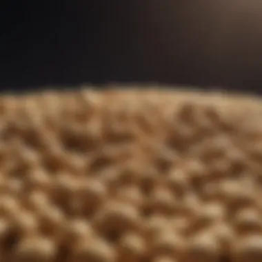 Nutritional Power of Soybean Seeds Soybean seeds rich in protein
