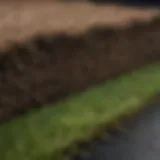 Close-up view of freshly laid sod