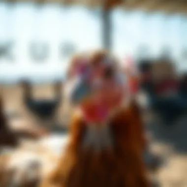 Notable Exploring the Avian Influenza Vaccine: Implications for Public Health and Agriculture