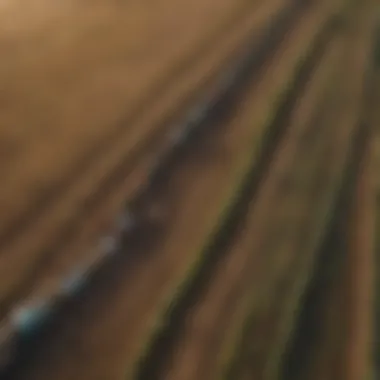 Aerial view of a diverse agricultural landscape