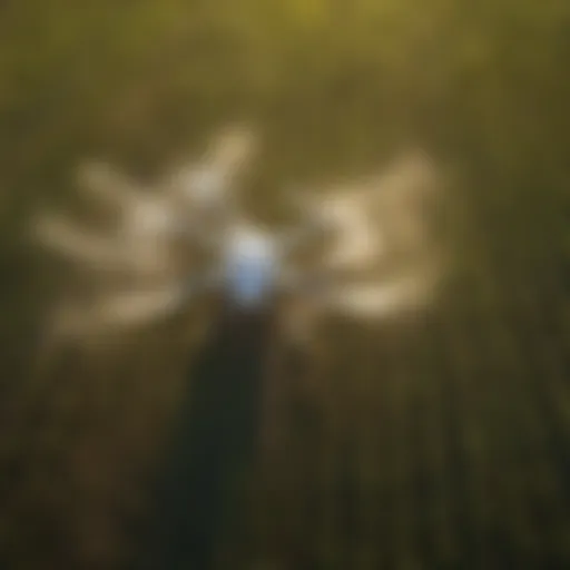 Aerial view of a drone spraying crops in a field