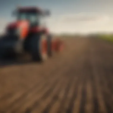 Happy farmer examining crops post-harvest