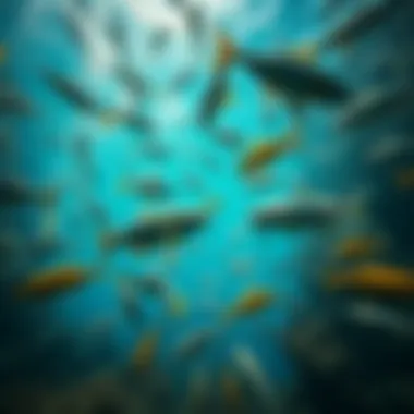 A thriving underwater ecosystem rich with fish species.