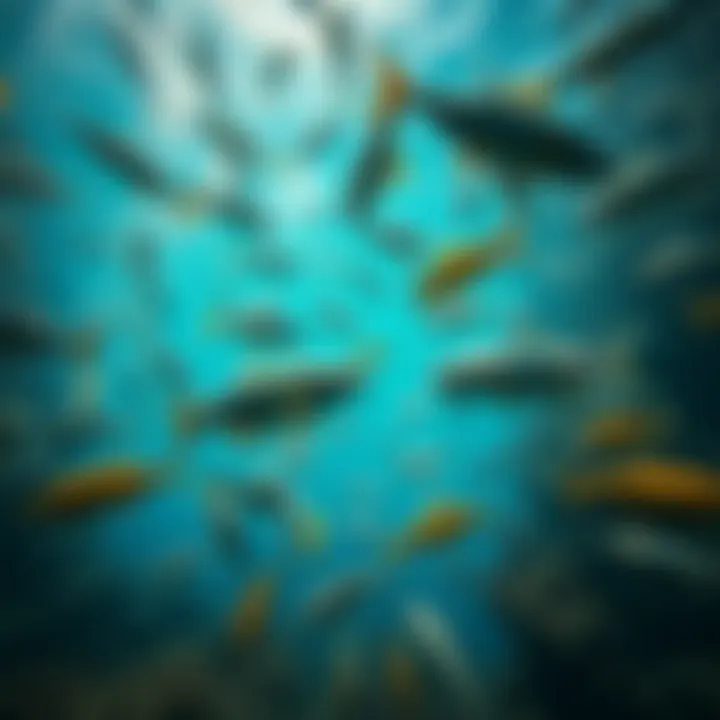 A thriving underwater ecosystem rich with fish species.