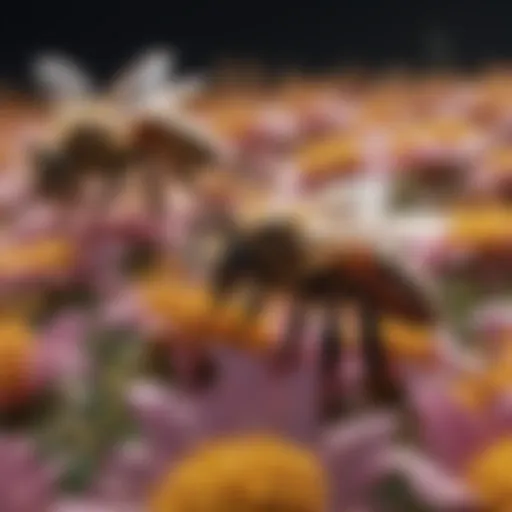 A close-up view of bees collecting nectar from vibrant flowers