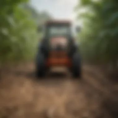 Impact of effective pest control on crop yield