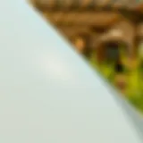 Reflective Properties of White Mylar Film Reflective surface of white Mylar film used in agriculture