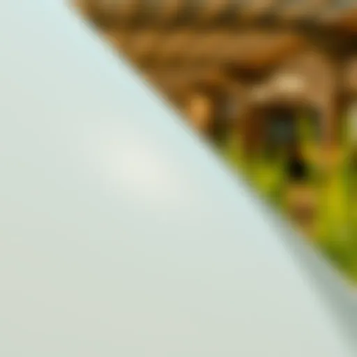 Reflective Properties of White Mylar Film Reflective surface of white Mylar film used in agriculture