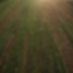 Aerial view of diverse farmland showcasing various crops